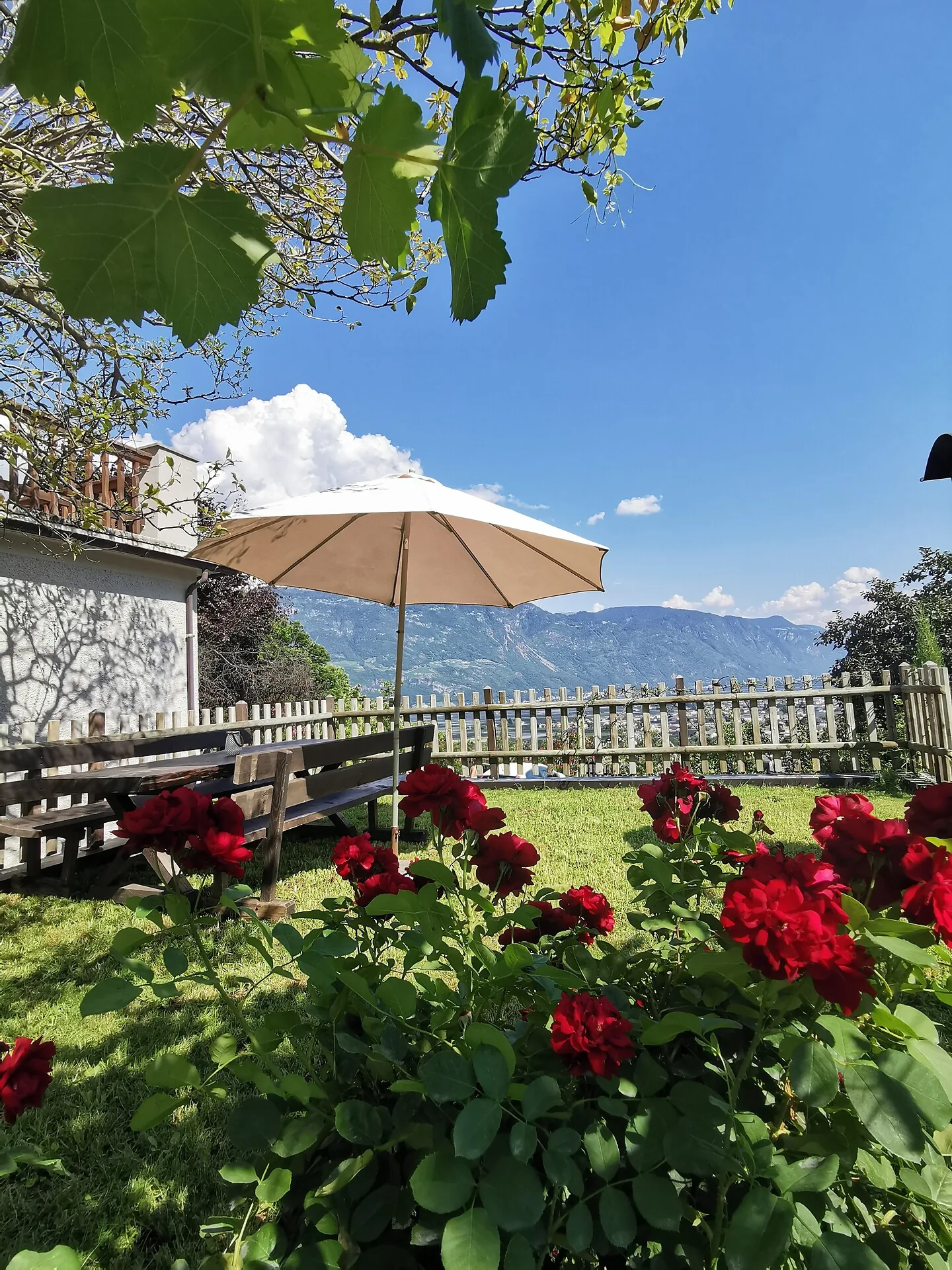 Blühende Terrasse am Glögglhof mit Bergblick